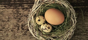 Na co uważać kupując jajka?
