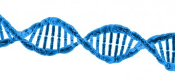 Genetyczny oręż na raka tarczycy - badania naukowe