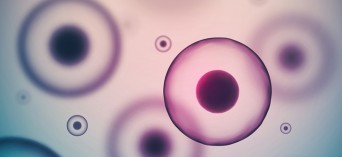 Komórki macierzyste w kobiecym mleku lepsze, niż w płynie owodniowym