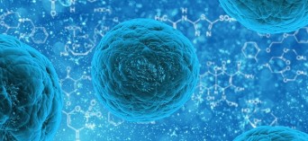 Komórki macierzyste w ortopedii i medycynie sportowej