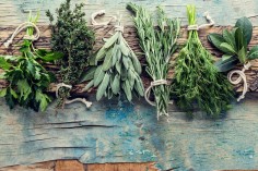 Leczenie ziołami - unikalne receptury